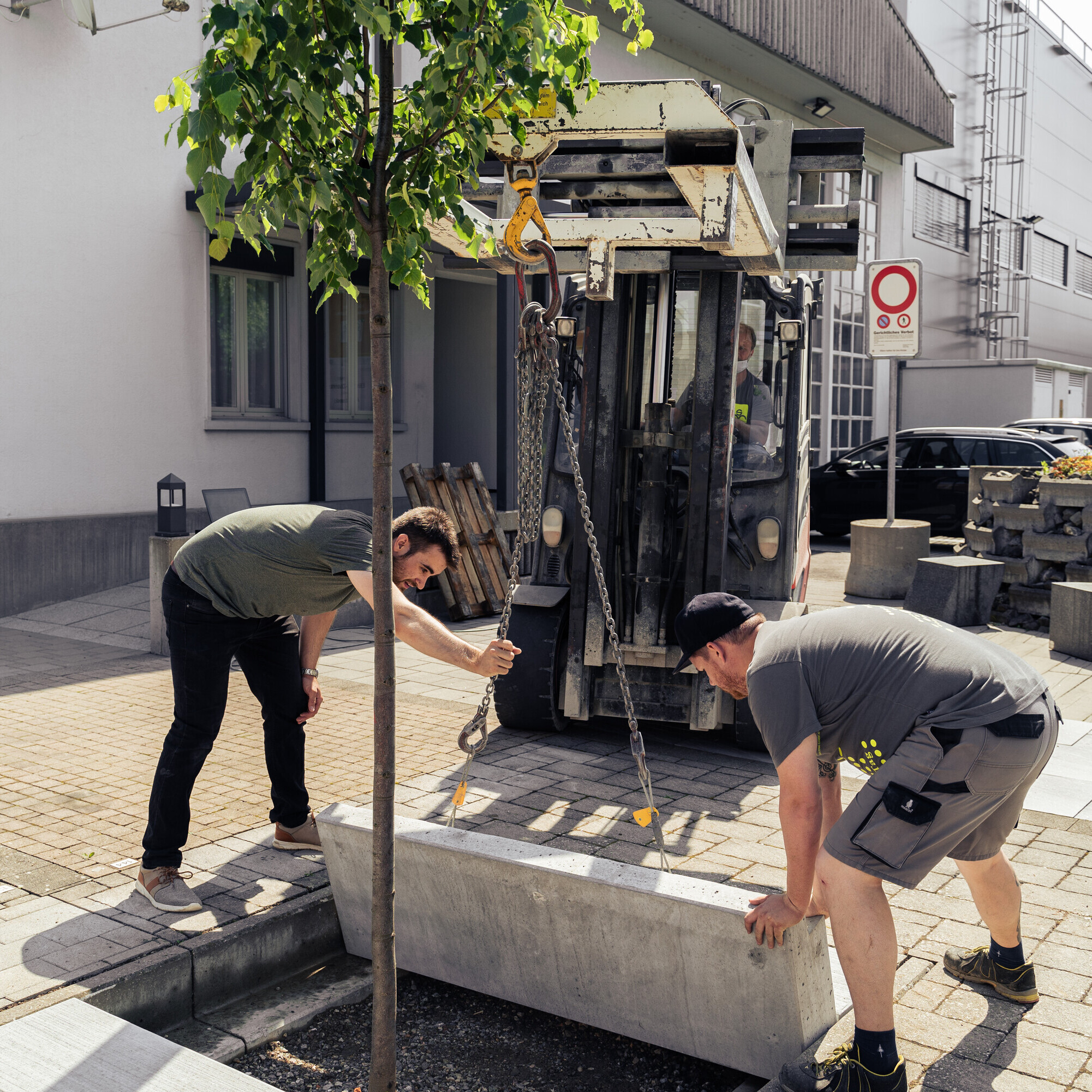 Die Installation der intelligenten Baumgrube übernehmen drei Männer, wobei auch ein Frontstapler zum Einsatz kommt.