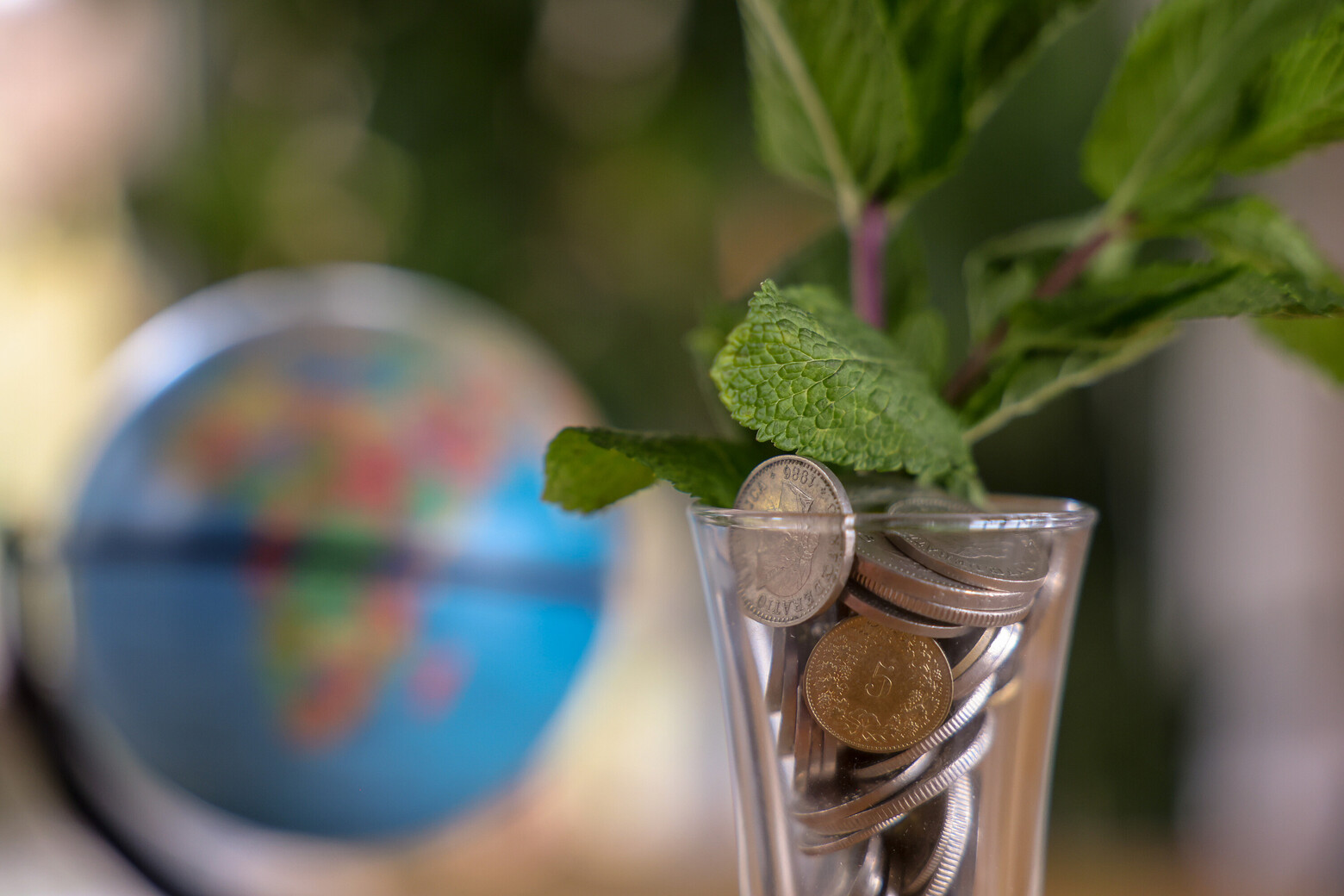 Aus einem Glas, das mit Münzen gefüllt ist, wächst eine kleine Pflanze. Im Hintergrund ist ein Globus zu sehen, der für eine nachhaltige und gesunde Zukunft steht.