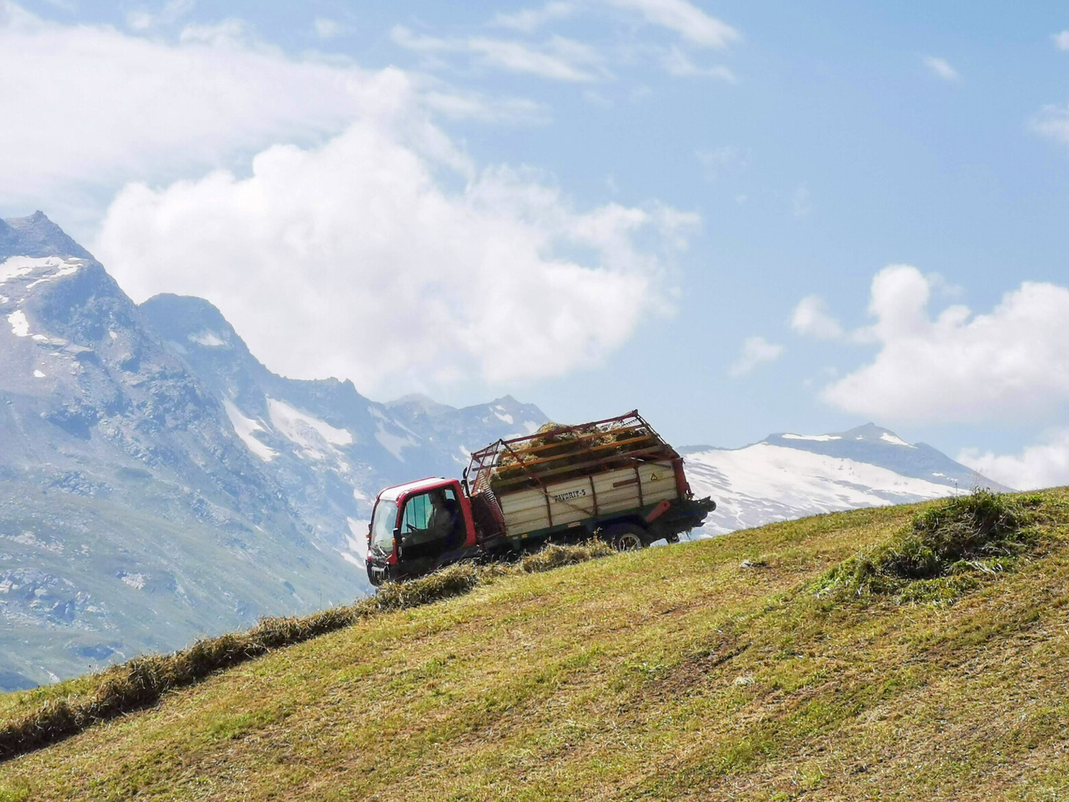Der bäuerliche Arbeitsalltag bringt viele Landwirtinnen und Landwirte an körperliche und psychische Belastungsgrenzen.