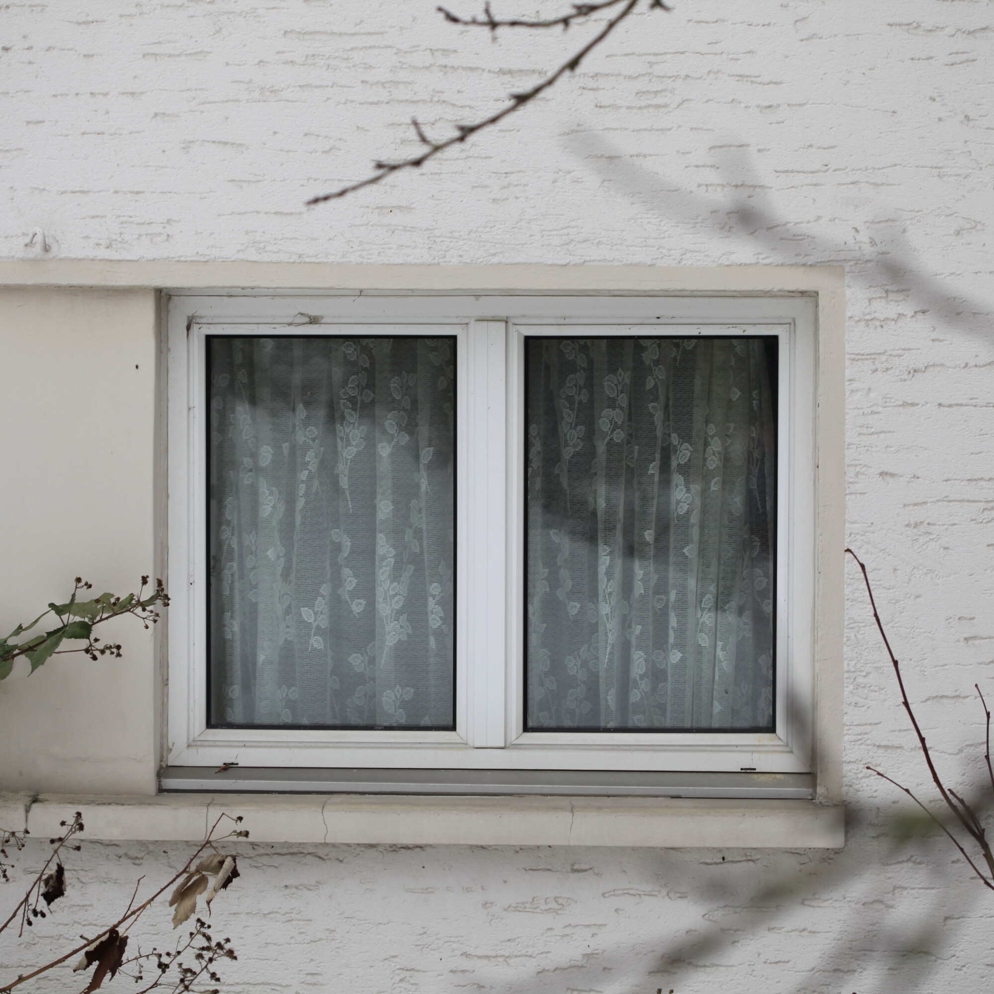 Die Fassade eines Gebäudes ist in Nahaufnahme zu sehen, der Fokus liegt auf einem Fenster.