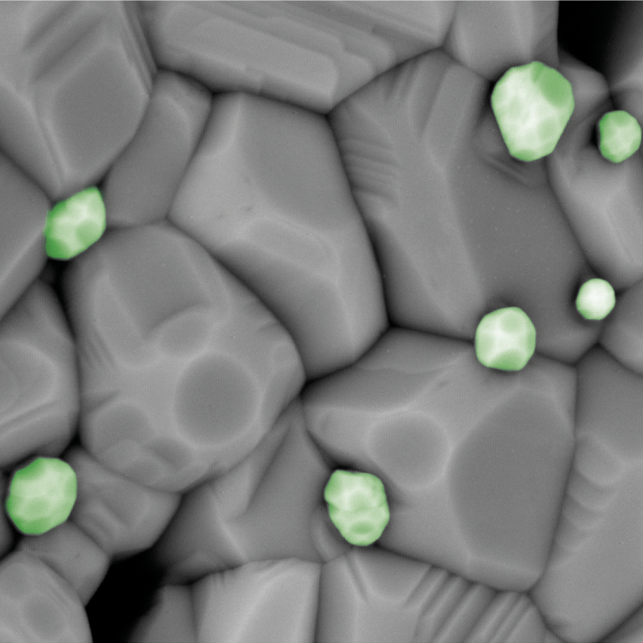 Die Grafiken zeigen zwei  Metallkatalysatoren in der Nahaufnahme und Nickelpartikel. Durch die SelfCat-Innovation können diese umgewandelt werden.