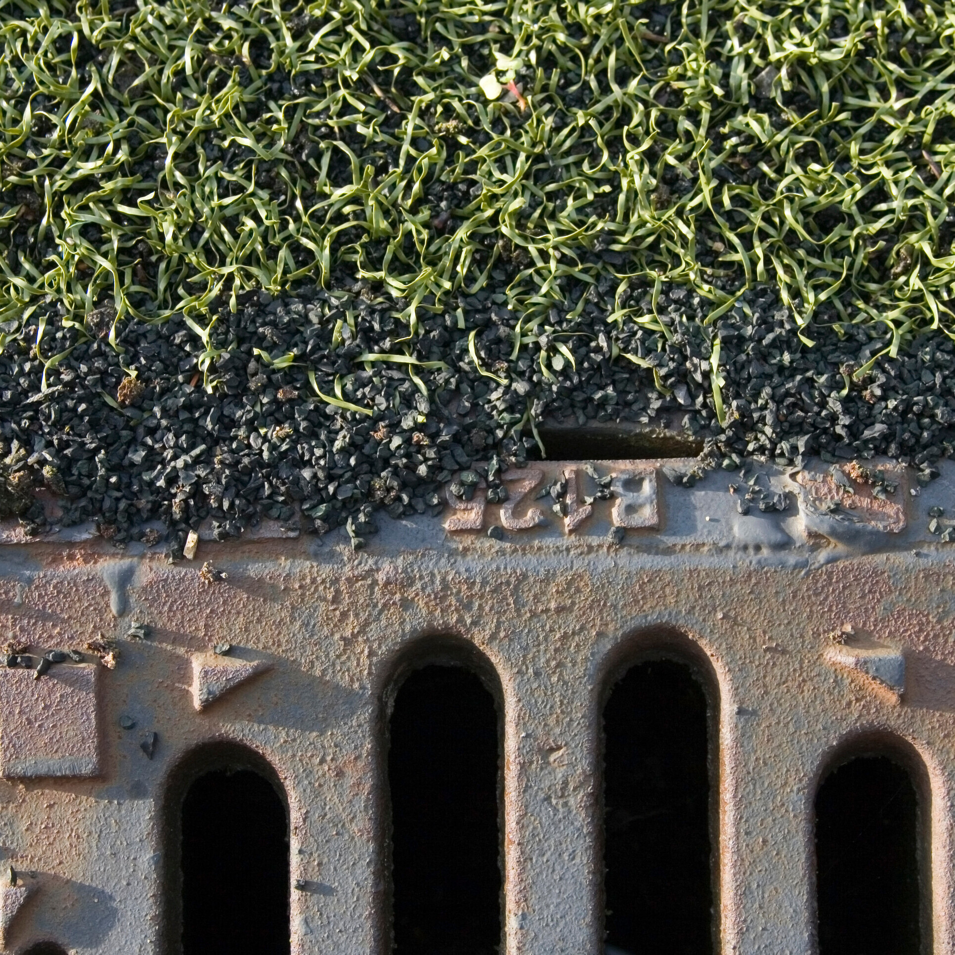 Kunstrasen und Mikroplastik: Solche Plätze sind Standard in der Schweiz, doch sie können die Umwelt belasten. 