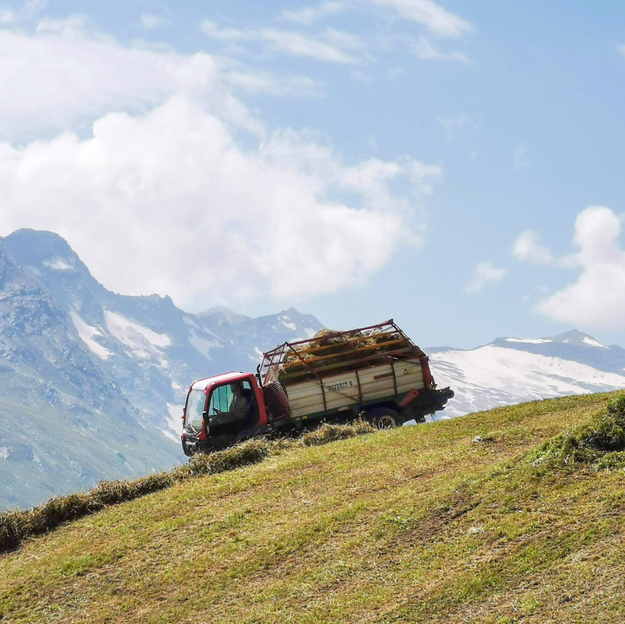 Der bäuerliche Arbeitsalltag bringt viele Landwirtinnen und Landwirte an körperliche und psychische Belastungsgrenzen.