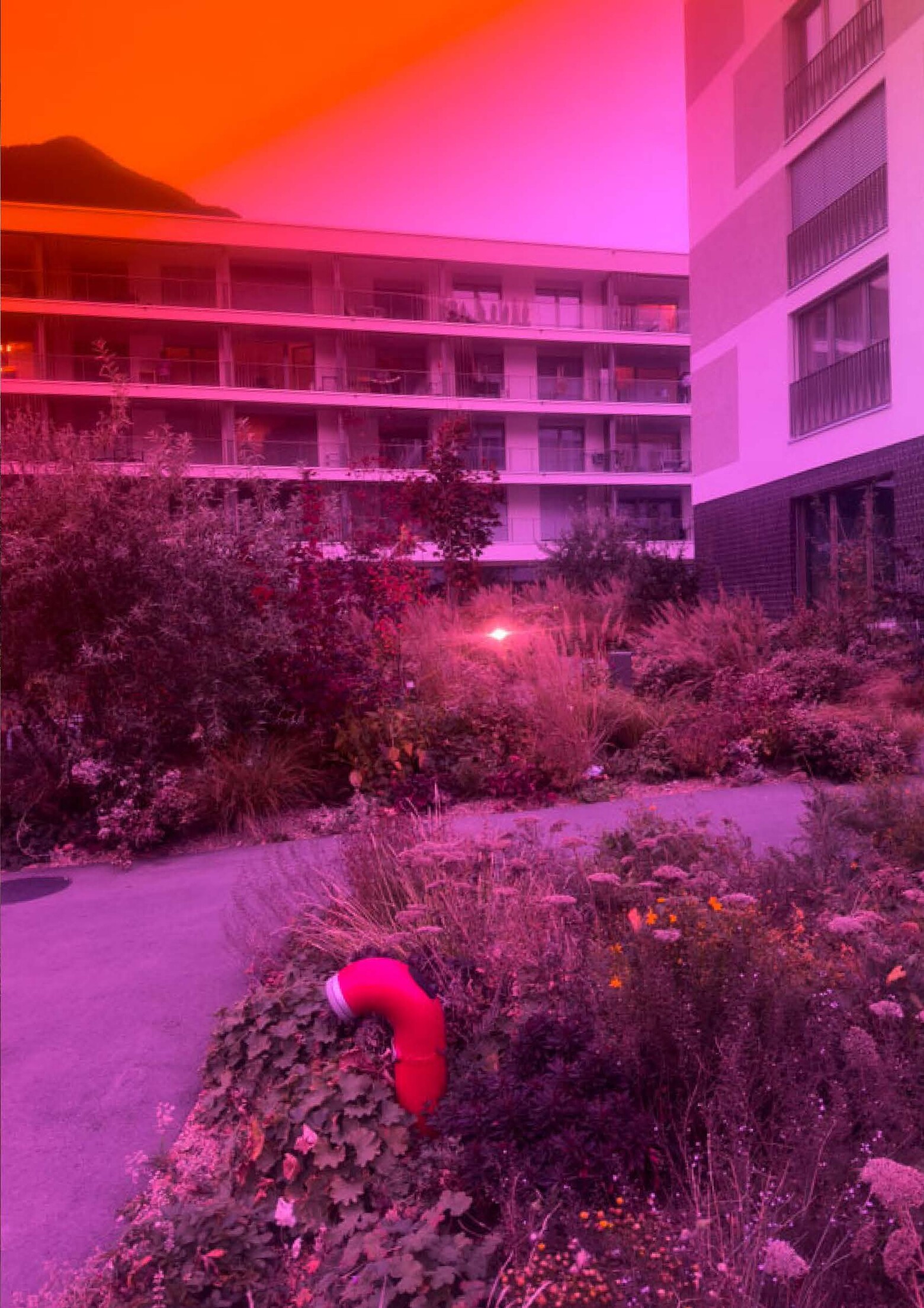 Das Bild zeigt zwei vierstöckige Neubauten mit Flachdach und langen Balkonreihen. Das Umland ist bepflanzt mit Blumen und Sträuchern.