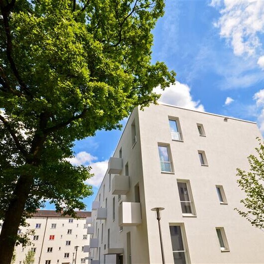Vor dem Mehrfamilienhaus stehen Bäume mit sattgrünen Blättern.