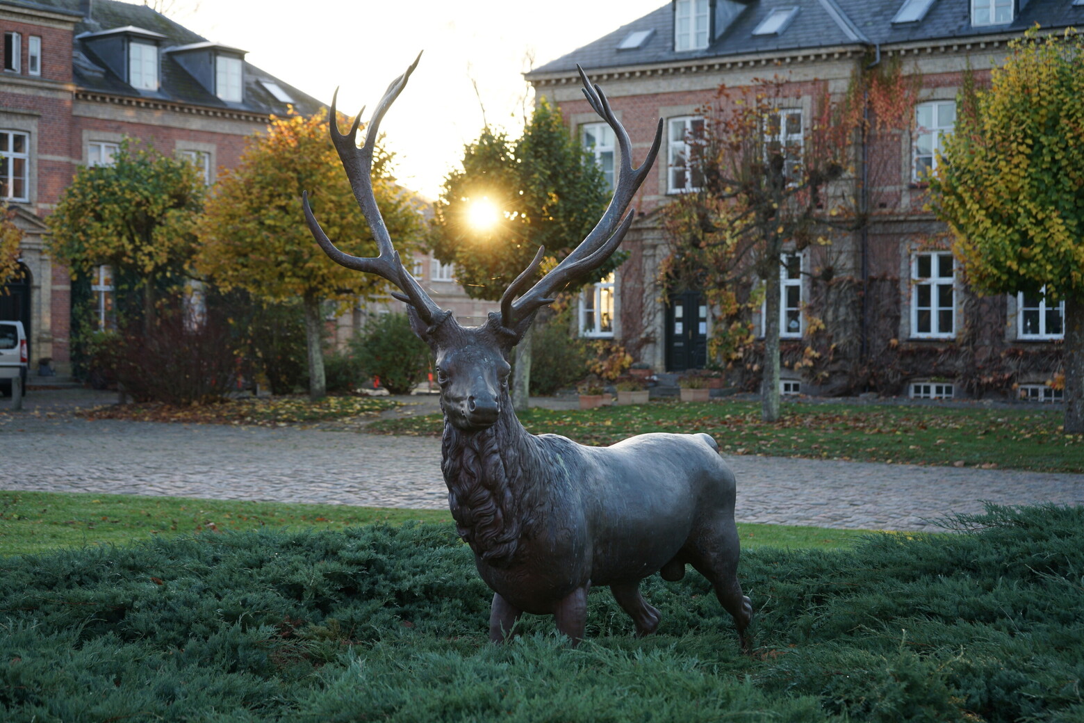 Der Hirsch auf dem Anwesen von Schloss Jægerspris der dänischen Insel Seeland.