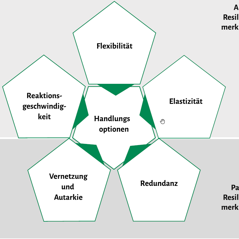 Um Krisen zu überstehen, sind mehrere Punkte erforderlich; in dieser Grafik sind aktive und passive Resilienzmerkmale aufgeführt und die wichtigsten Handlungsoptionen erläutert.