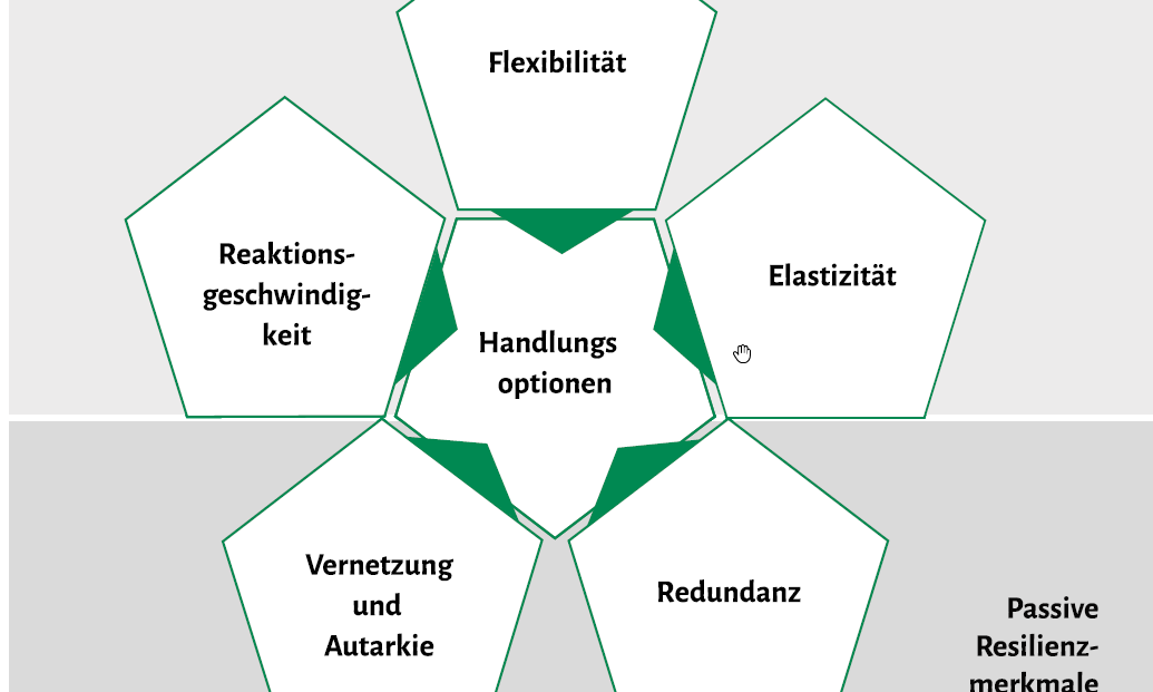 Um Krisen zu überstehen, sind mehrere Punkte erforderlich; in dieser Grafik sind aktive und passive Resilienzmerkmale aufgeführt und die wichtigsten Handlungsoptionen erläutert.