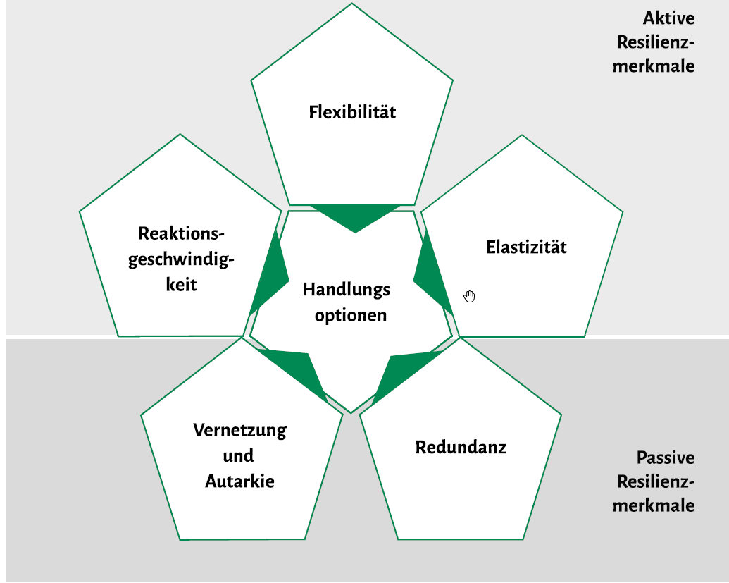 Um Krisen zu überstehen, sind mehrere Punkte erforderlich; in dieser Grafik sind aktive und passive Resilienzmerkmale aufgeführt und die wichtigsten Handlungsoptionen erläutert.
