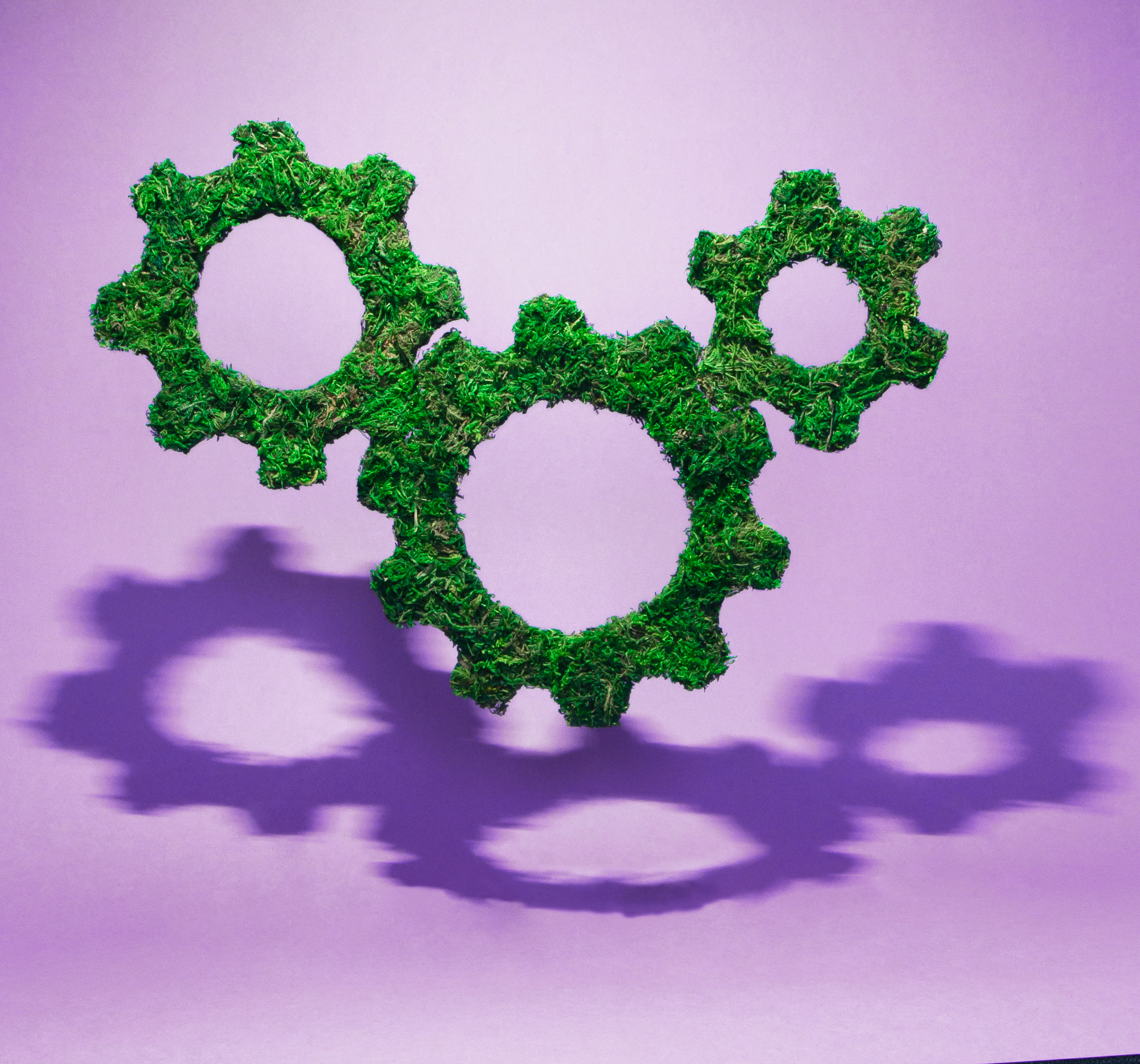 Illustration von Zahnräder aus Moos