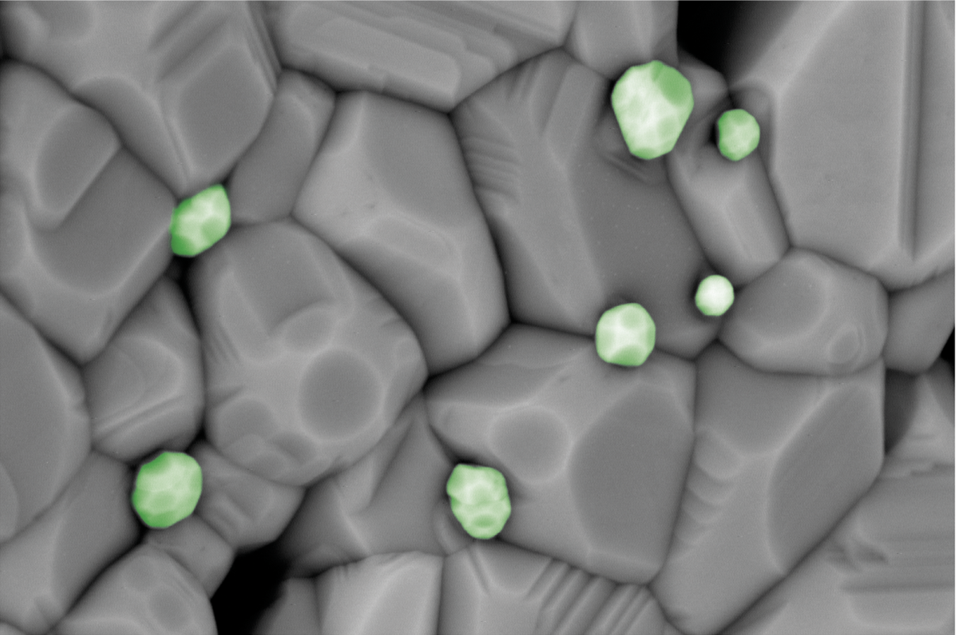 REM-Aufnahmen von Metall-Katalysatoren für PtX-Verfahren und Hochtemperatur-Elektrolyseure. 