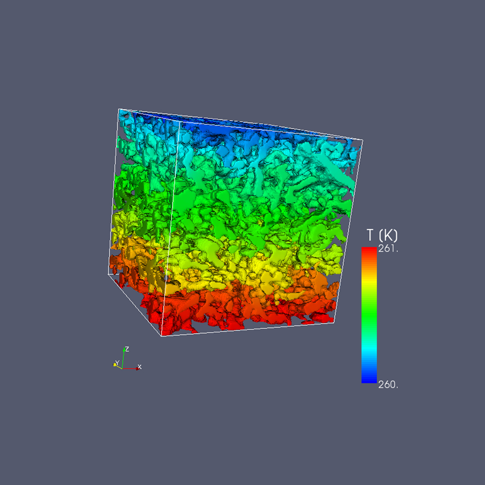 Micro-CT Aufnahme von Schnee direkt nach dem «Einsammeln» im Gelände (Beginn) und nach 10 Tagen Metamorphose mit Temperaturgradient 50C/m. (Bild SLF)