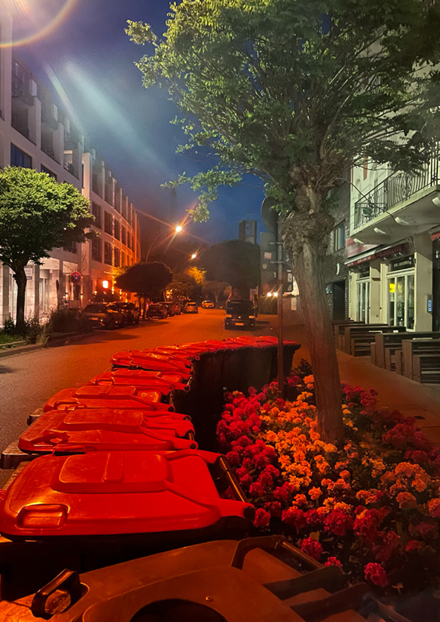 Das Bild zeigt eine Strassenflucht in einer Kleinstadt, rechts Altbauten mit einem kleinen Café, Tischen und Stühlen auf der Strasse, links Neubauten. Im Vordergrund ein blumenbepflanztes Beet, das von hohen Mülltonnen umstellt ist. Im Hintergrund sind ein paar parkierende Autos auf der Strasse und ein moderner Kirchturm zu sehen.